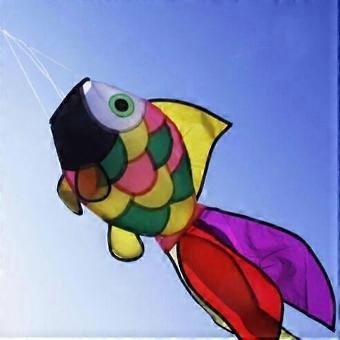 Rainbow Fish Kite, 2.5m Dual Line Parafoil, Grid Cloth, Easy to Fly, Beach Garden Outdoor Decor, Kids, Lines & Carry Bag