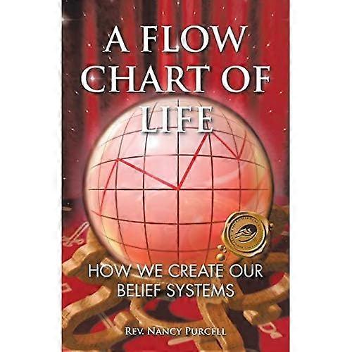 A Flow Chart of Life: How We Create Our Belief Systems