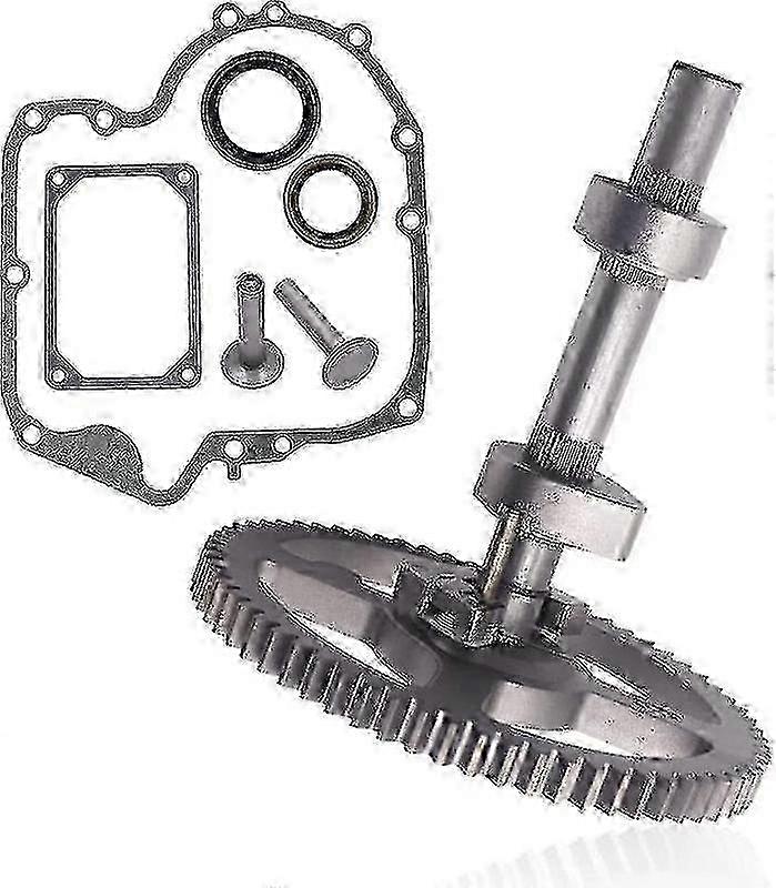 Small Engine Camshaft Kit for Briggs & Stratton 84005207 793880