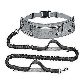 Shock Absorbing Extension Pet guide Waist Bag For Medium Large Canines With Secure Grasps And brightened Border  Pink