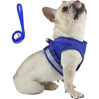 Ensemble harnais et laisse idéal pour les promenades avec chiot. Harnais/veste pour chiot de petite race, entièrement réglable et doté de bandes réfléchissantes pour plus de sécurité (Grande taille, bleu).
