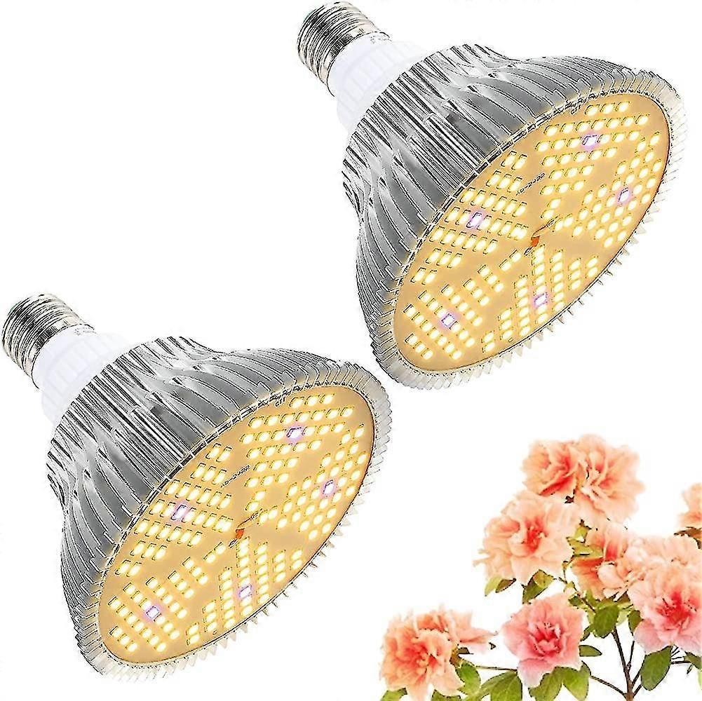 Plant Lamp, Daily Automatic Switching On And Off Of Light Light With Improved