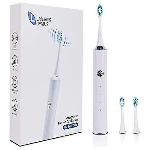 Lagurus Ovatus, Rechargeable Electric Toothbrush , 3 Modes Powered Toothbrushes With 42,000 Vpm Ultra-Clean Function Complimentary Toothbrush Head