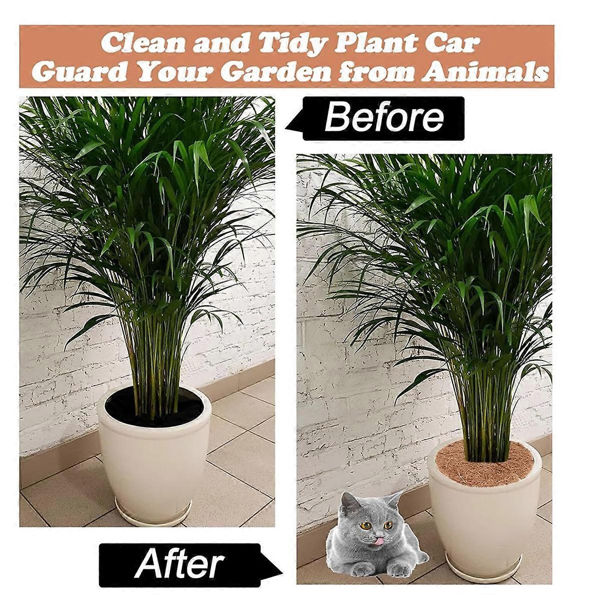 12 Pcs Fibra de Coco Mulch Ring Tree Protector Mat, 14.5 Polegadas Coir Plant Protectors From Animals Tre