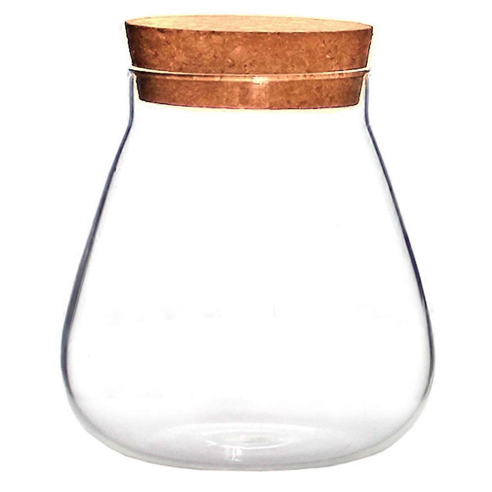Clear Glass Bottle for Succulent Plants Transparent Micro Landscape Storage Jar with Bubble Bowl Container for Home Decor and Art Projects