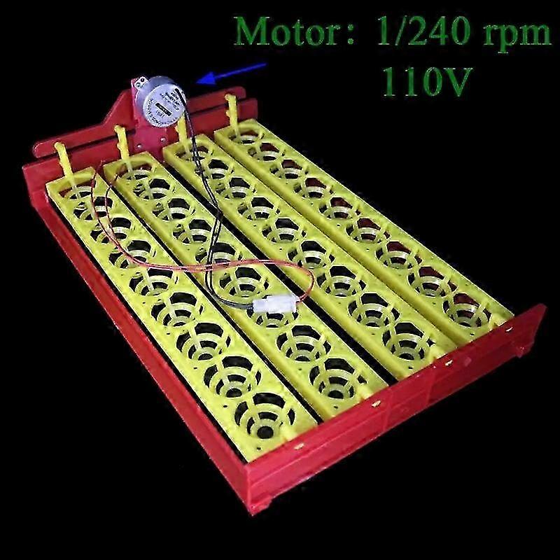 Automatic Incubator for 36 Eggs with Rotating Tray, Experiment Teaching Equipment 4x9 Holes