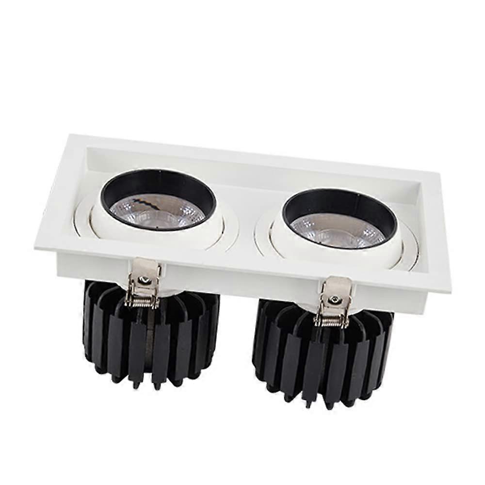 LED Spotlight DoubleHead Downlight 1/2/4 Pack, 24W (12W X 2), Rotatable Eyeball Retrofit Rectangular Ceiling Recessed