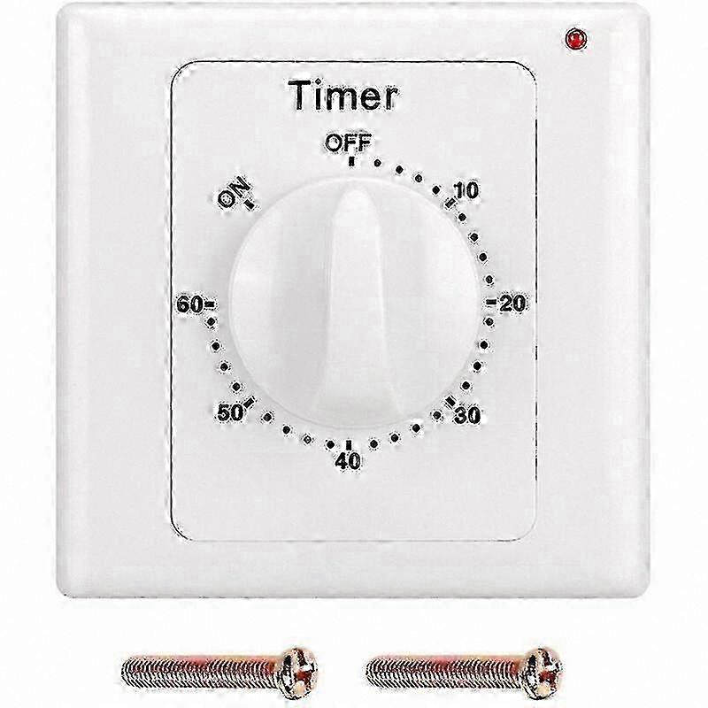 220V AC Pump Timer Switch with Mechanical Countdown and Electronic Control - 60 Minute Socket Timer SZRH
