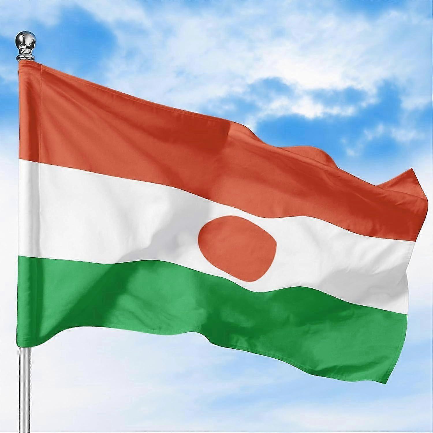 Niger Flag IW0386