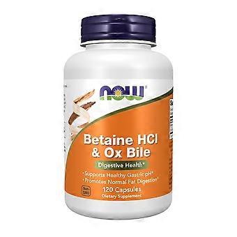 Now Foods Betaine HCl And Ox Bile, 120 Veg Caps (Pack of 1)