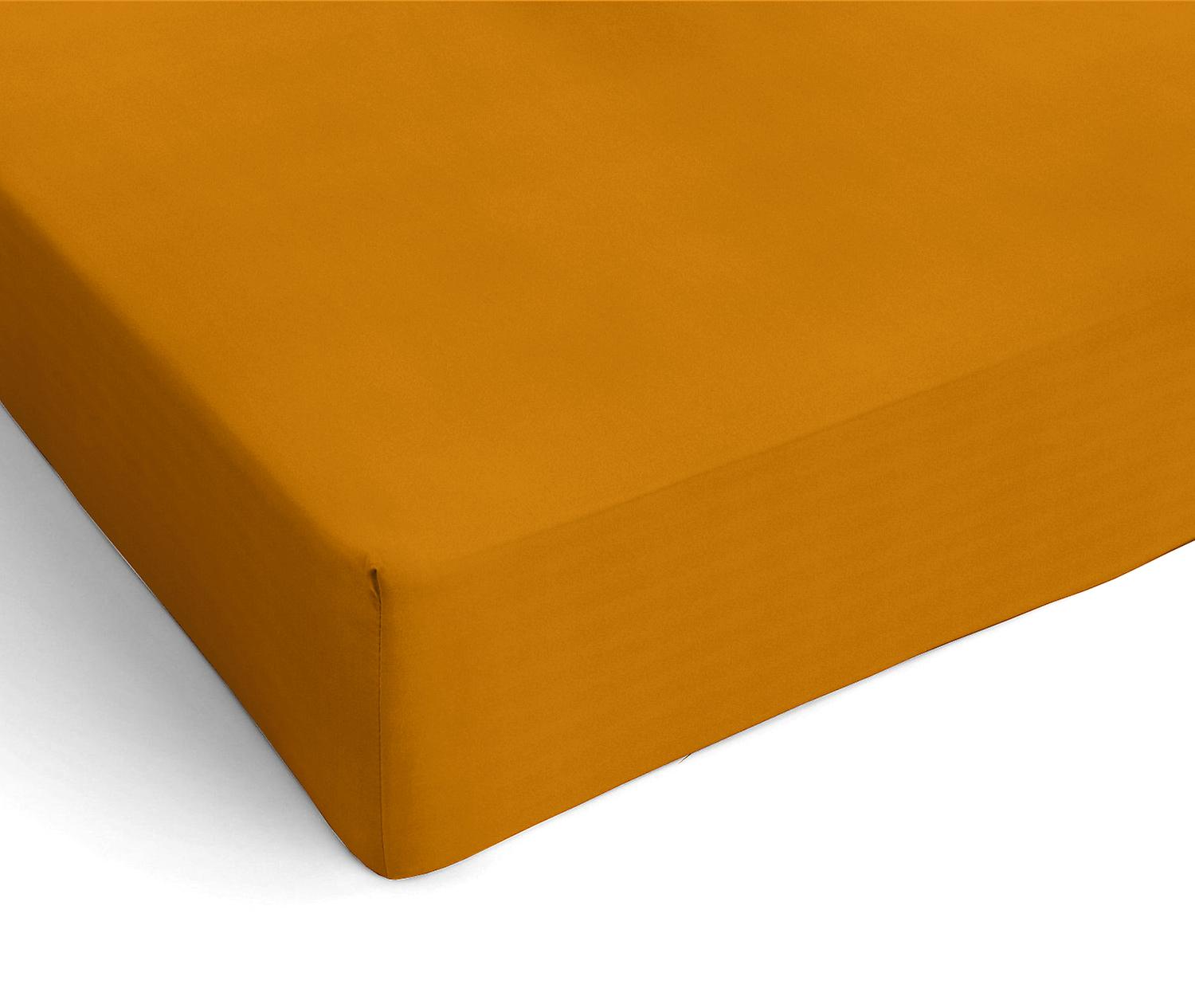 Lenzuolo con Angoli in Microfibra Singolo, Piazza e mezza, Francese, Matrimoniale, Maxi