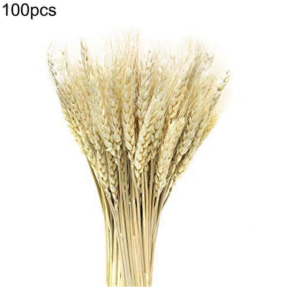 100pcs künstliche pflanze große weizen getrocknete blumen natürliche getrocknete weizengarben