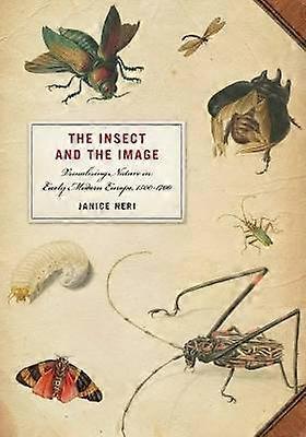 The Insect and the Image