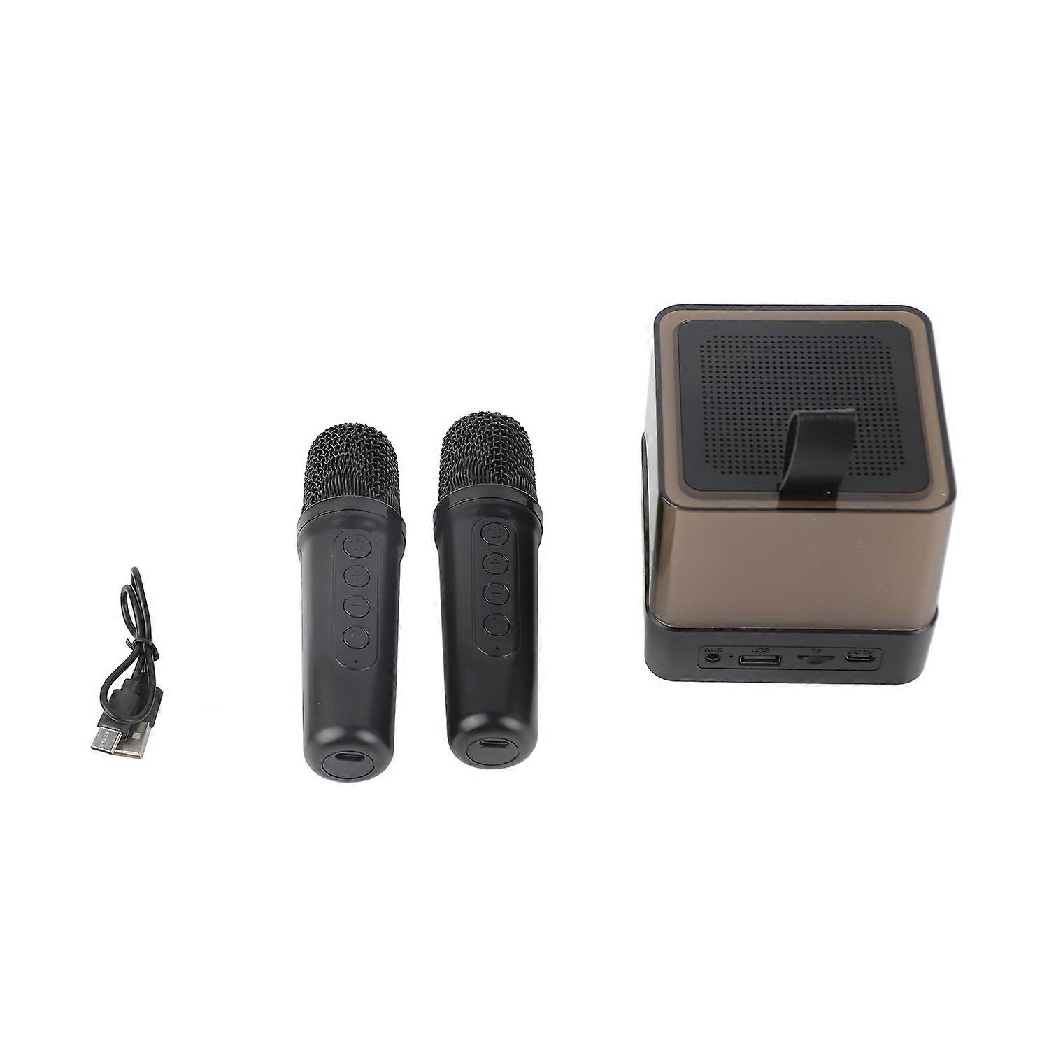 Karaoke Machine for Kids and Adults BT Singing Speaker with 2 Wireless Mics and LED Lights Portable