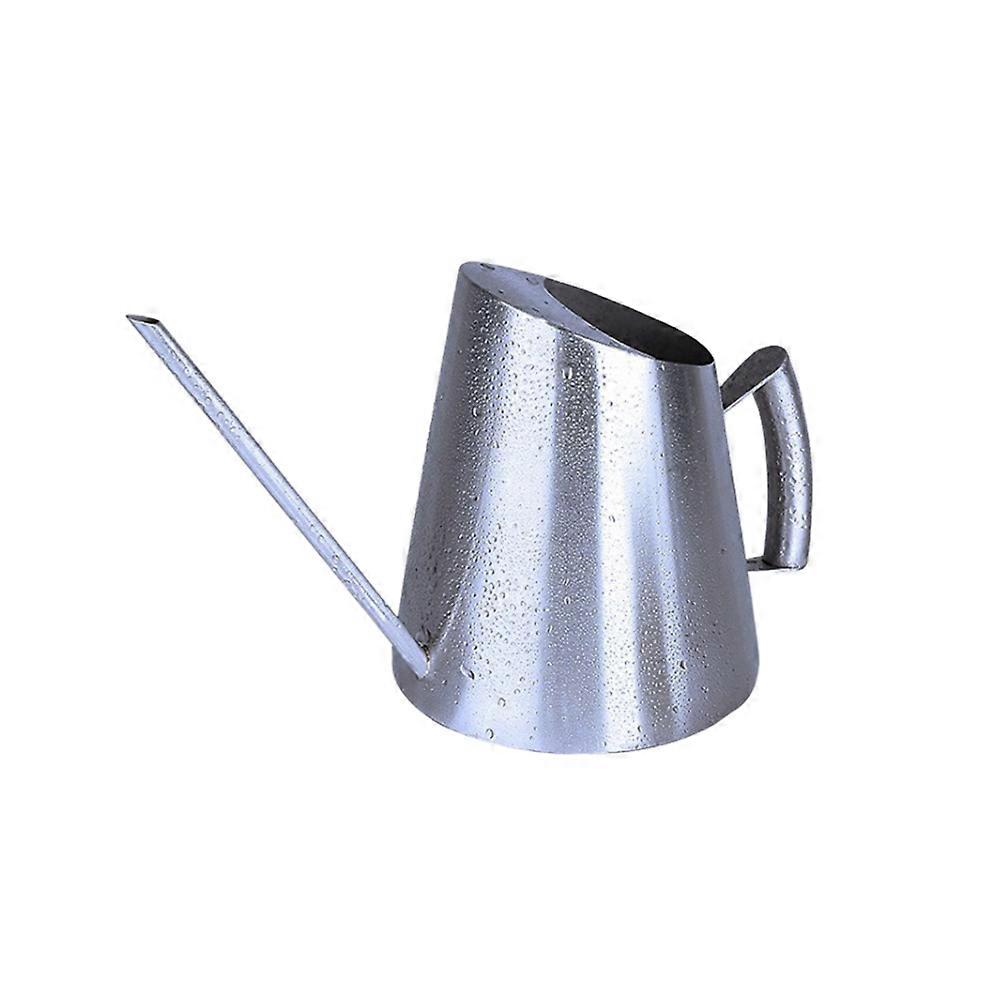 Here's a well structured product description for the **"1pc Stainless Steel Watering Can"**:
### πΏ 1pc Stainless Steel Watering Can β