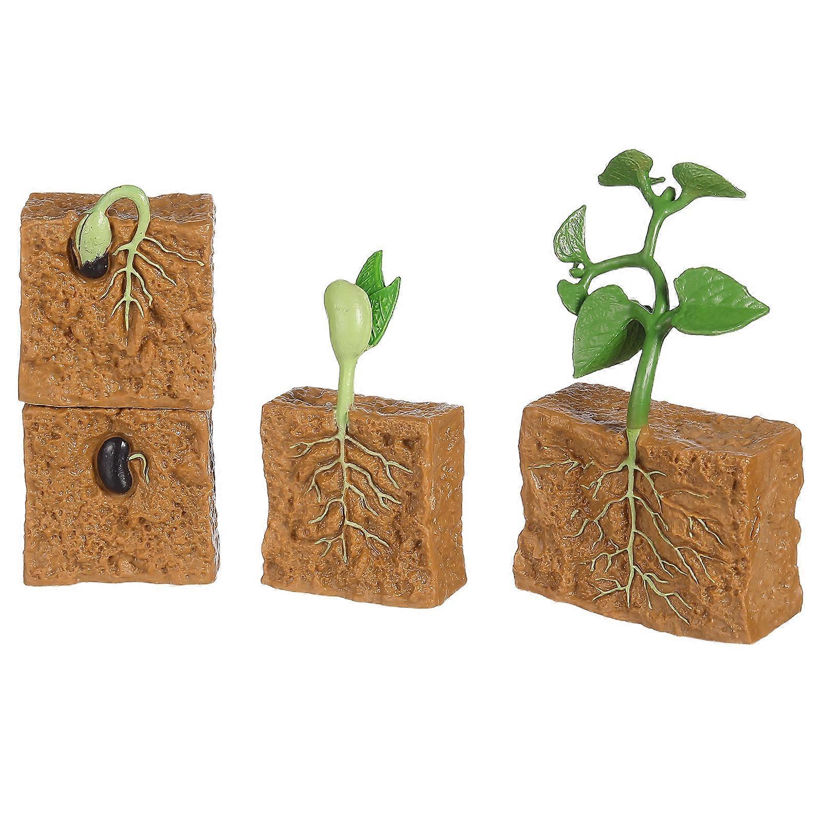 Children's Plant Models Simulation Toy Set Perfect For Teaching Aids With Safe Material And Realistic Features In Assorted Color 1 Set