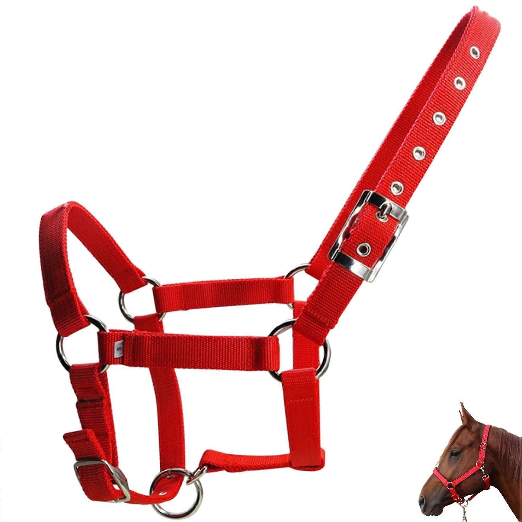 Horse Halter 25mm Wide Thicken PP Webbing, Adjustable Metal Buckle, Lightweight Portable Mini Halter With Lead