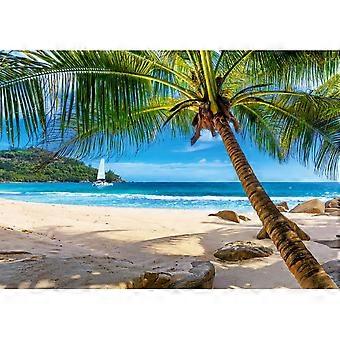 castorland-palapeliloma Seychelleillä 500 palaa