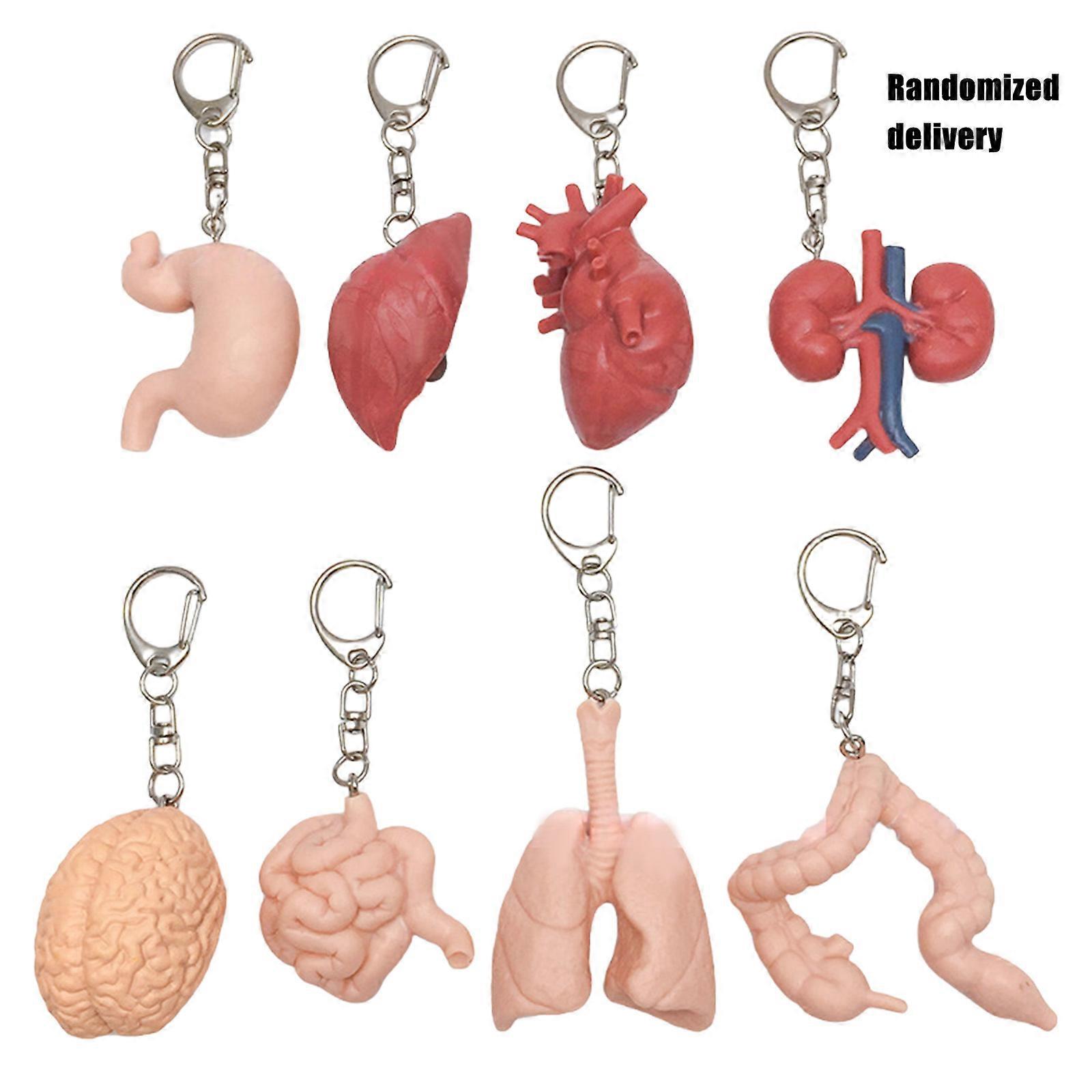Detailed Organ Designs Keychain Crafted From Resin Materials Offering Comfortable and Durability for Everyday Use Multicolor