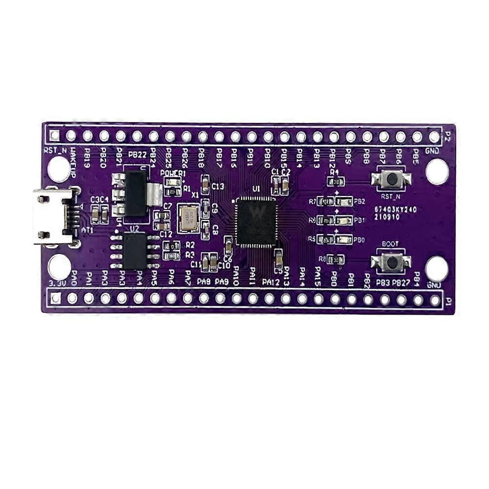 Development Board W806 240MHz Low Power IoT Microcontroller with CH340 for Projects