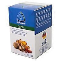 Joints 120 capsules