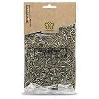 planta verbena 50 g