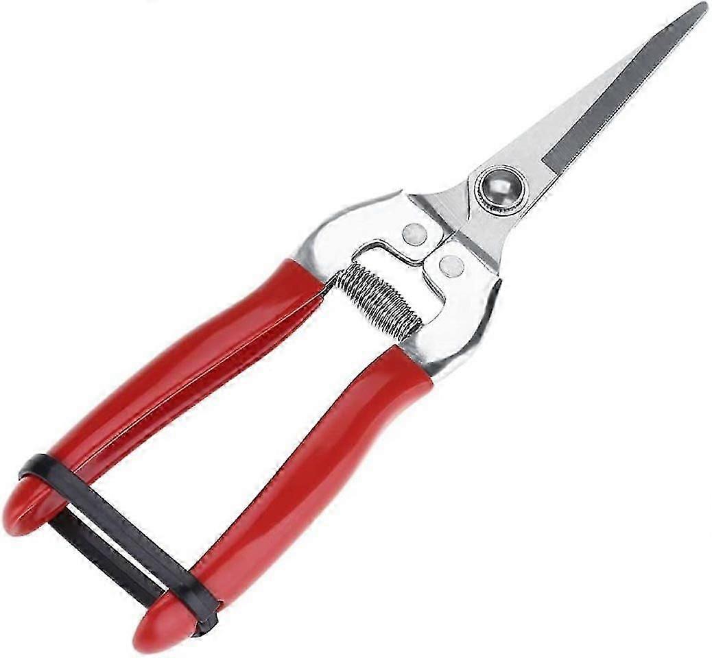 Professional Fruit Tree Grafting Pliers Pruning Scissors (Straight)20.2*4.8cm