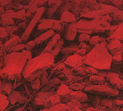 Jam City - Dream A Garden [CD]