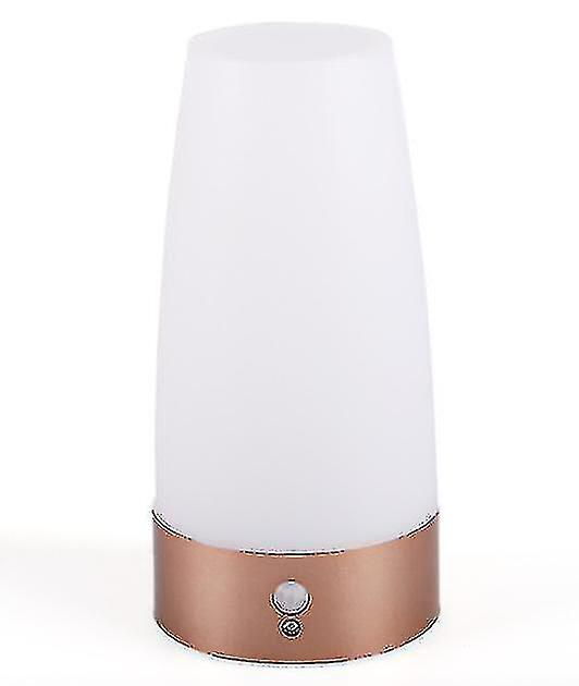 Human Body Induction Light Night Light Control Household Aisle Bedside Lamp