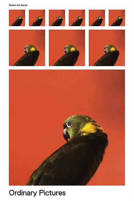 Ordinary Pictures Paperback Book