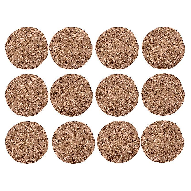 12pcs Vogel Eier Matte
