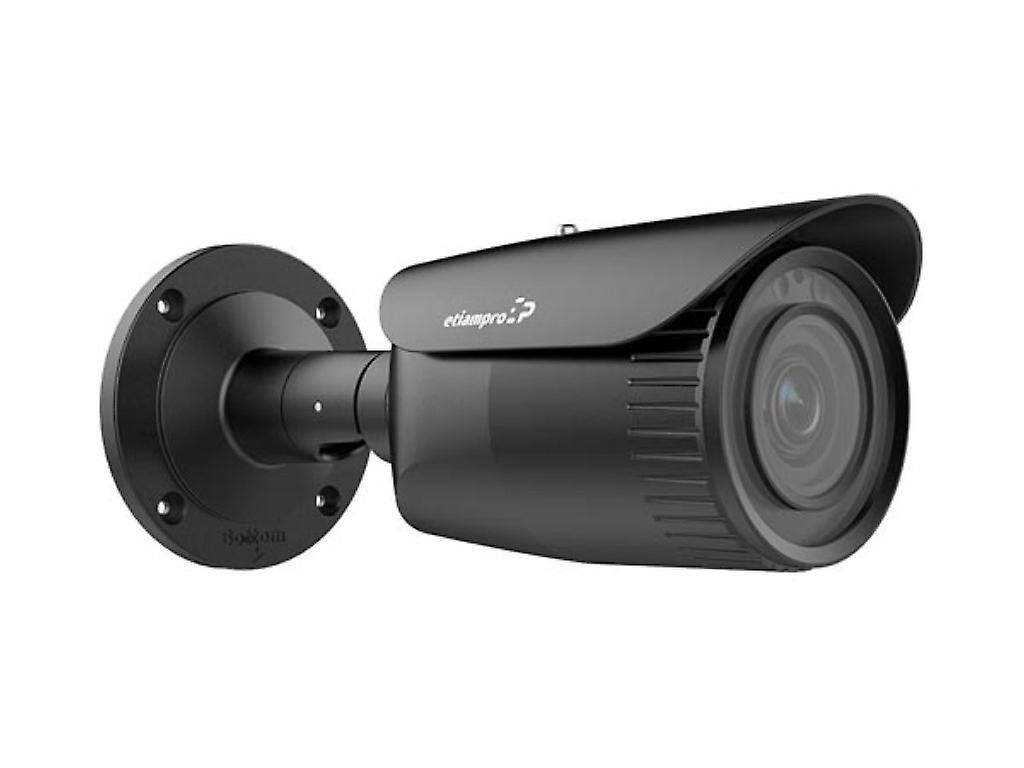 EtiamPro Zylindrische IP-Netzwerkkamera, Überwachungskamera, 2 MP, IR-LEDs,