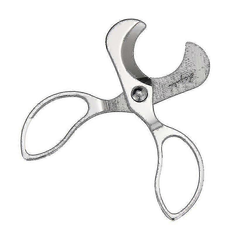 Cigar Shears Stainless Steel Silver
