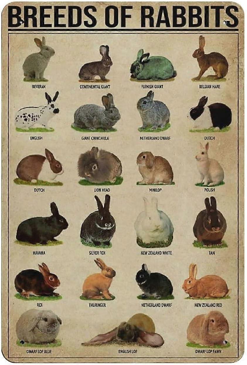 معدن القصدير علامة نوع المعرفة الرسم البياني للحلزون خمر القصدير ملصق معدن تسجيل الجدار الديكور مطبخ البلد ديكور المرآب المنزلي 16 "x12"