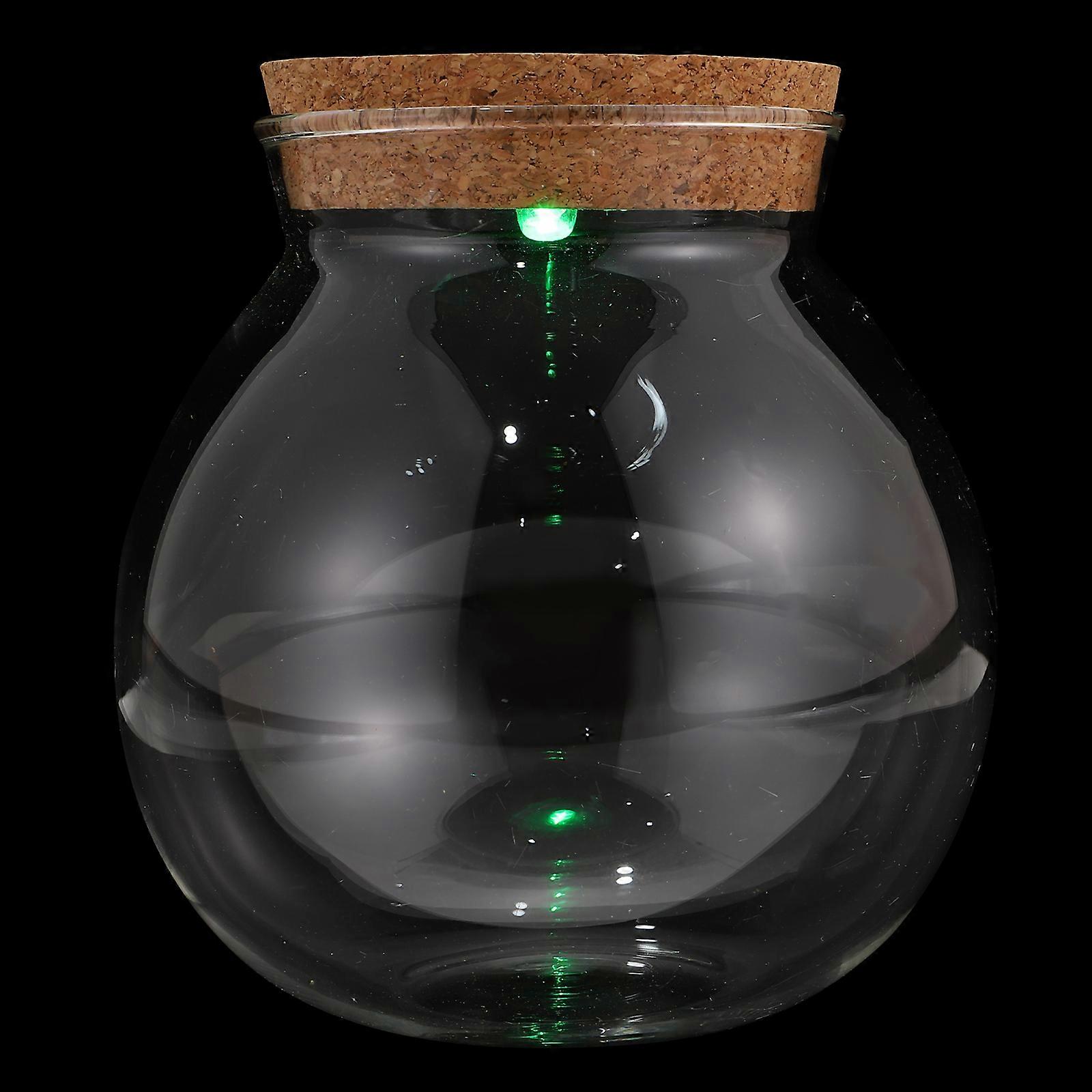 Moss Terrarium Glass Planter Transparent 13X12X12CM Easy To Observe And Display Diy Micro Landscape For Hobbyists 1Set