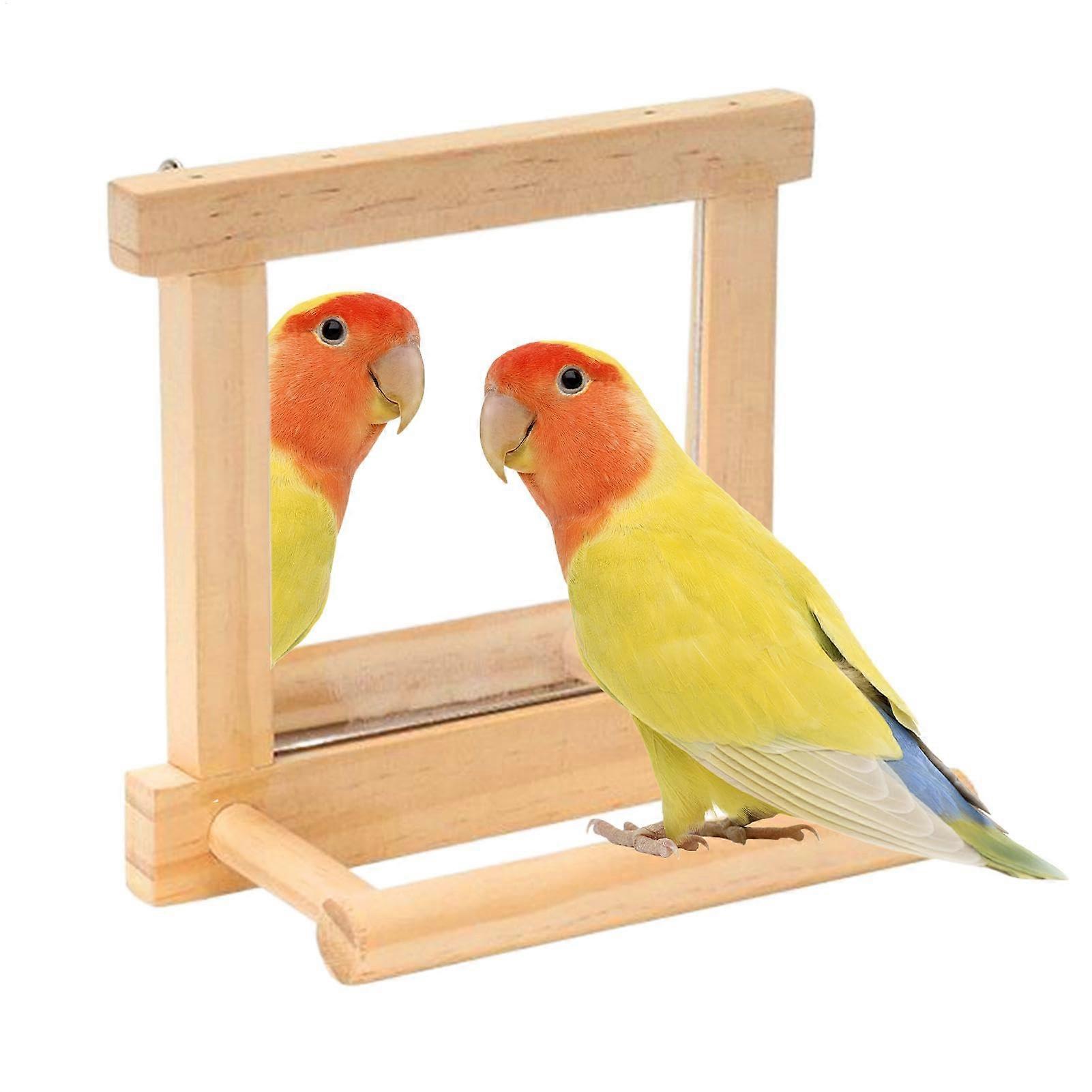 Bird Cage Mirror with Perch, Parrot Board Bird Grinder for Birds, Standing for Interactive Climbing