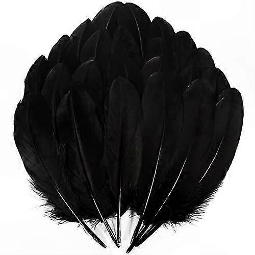 200 Pieces of Natural Fly Tying Feathers for Crafting and DIY Projects