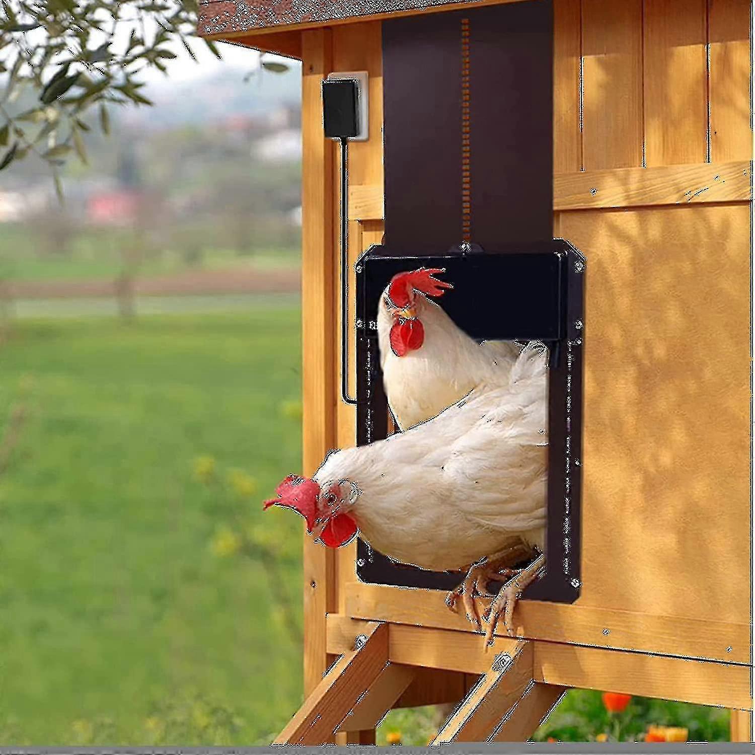 Automatic chicken coop door with light sensor for poultry farming