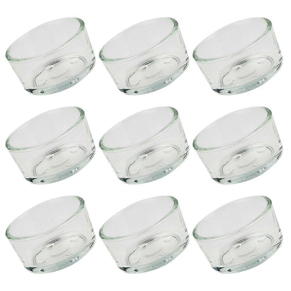 Reptile Food Holder Glass Basin for Tortoise Feeding 27 Pieces