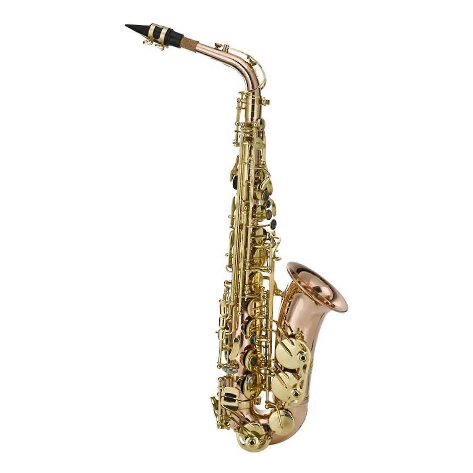 Alto Saxophone for Beginners E Flat Eb Student Gold Lacquer with Case Mouthpiece Stable Tuning