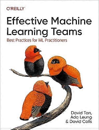 Effective Machine Learning  Teams: Best Practices for  ML Practitioners