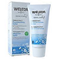 Salt Toothpaste 75 ml