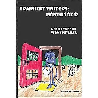 Transient visitors month 1 of 12, a collection of 31 very tiny tales
