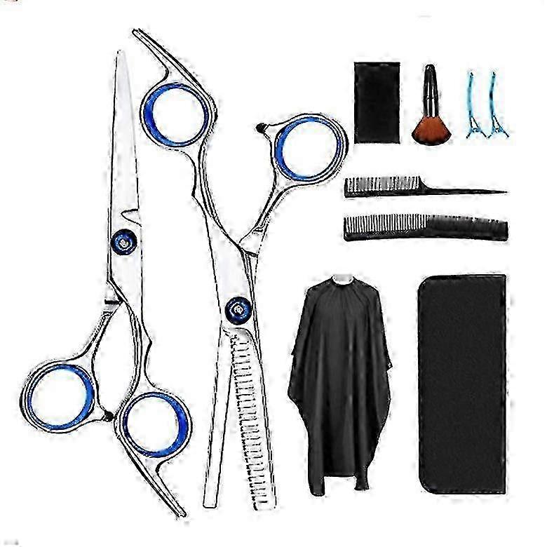 10-Piece Precision Forged Hairdressing Scissors Kit
