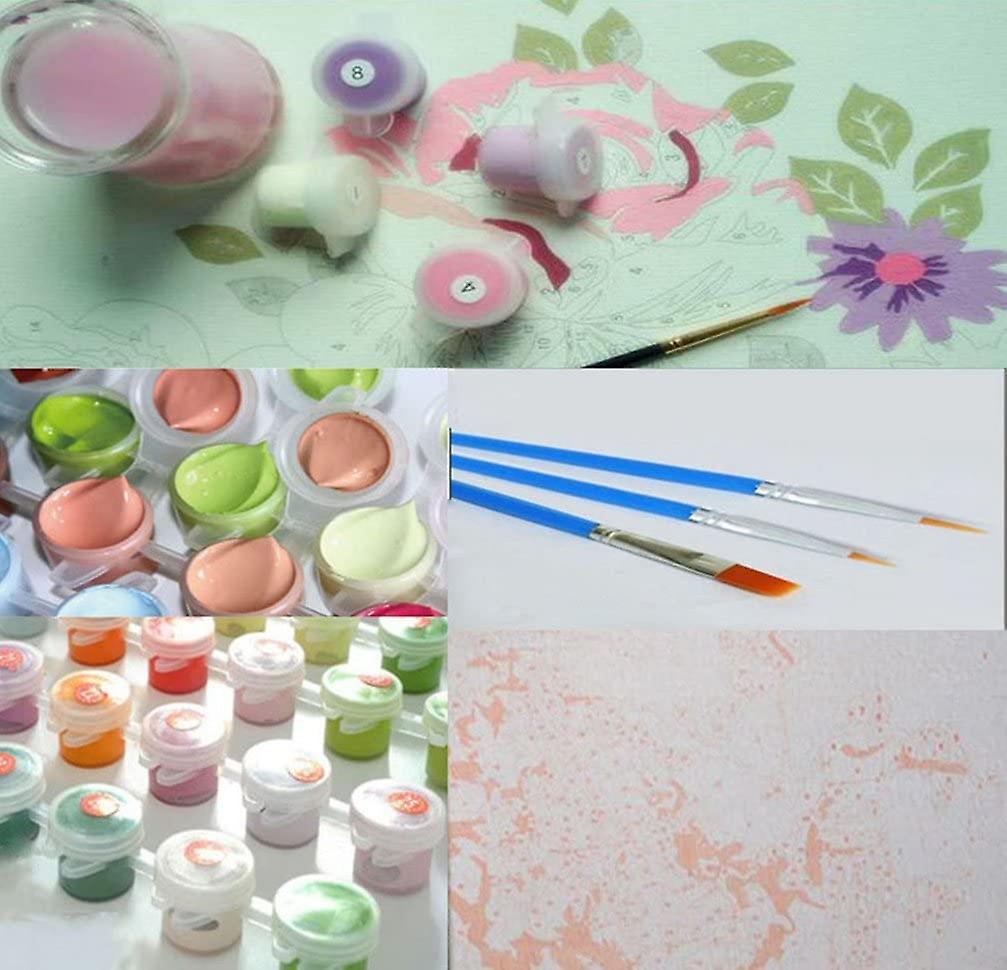 Peinture par numéro Kit, Peinture à l'huile Bricolage avec Brosses et Peintures pour Adultes Enfants Débutant, DIY Painting by Numbers Numéro Cadeaux de noël - Sans Cadre,60x80cm (Geisha) A-474 Peinture par numéro Kit, Peinture à l'huile Bricolage avec Brosses et Peintures pour Adultes Enfants Débutant, DIY Painting by Numbers Numéro Cadeaux de noël - Sans Cadre,60x80cm (Geisha) A-474