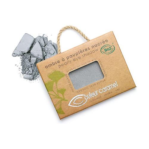 Eye shadow n ° 024 pearly gray 2,5 g of powder