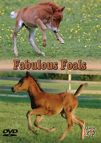 Fabulous Foals DVD (2009) cert E - Region 2