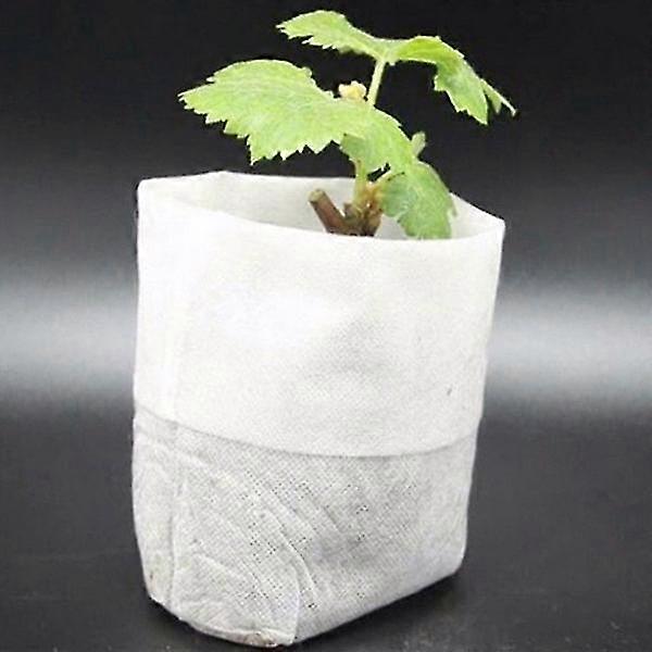 100-Pack - Tomma Frpsar / Psar fr Frplantor - Planta Vit