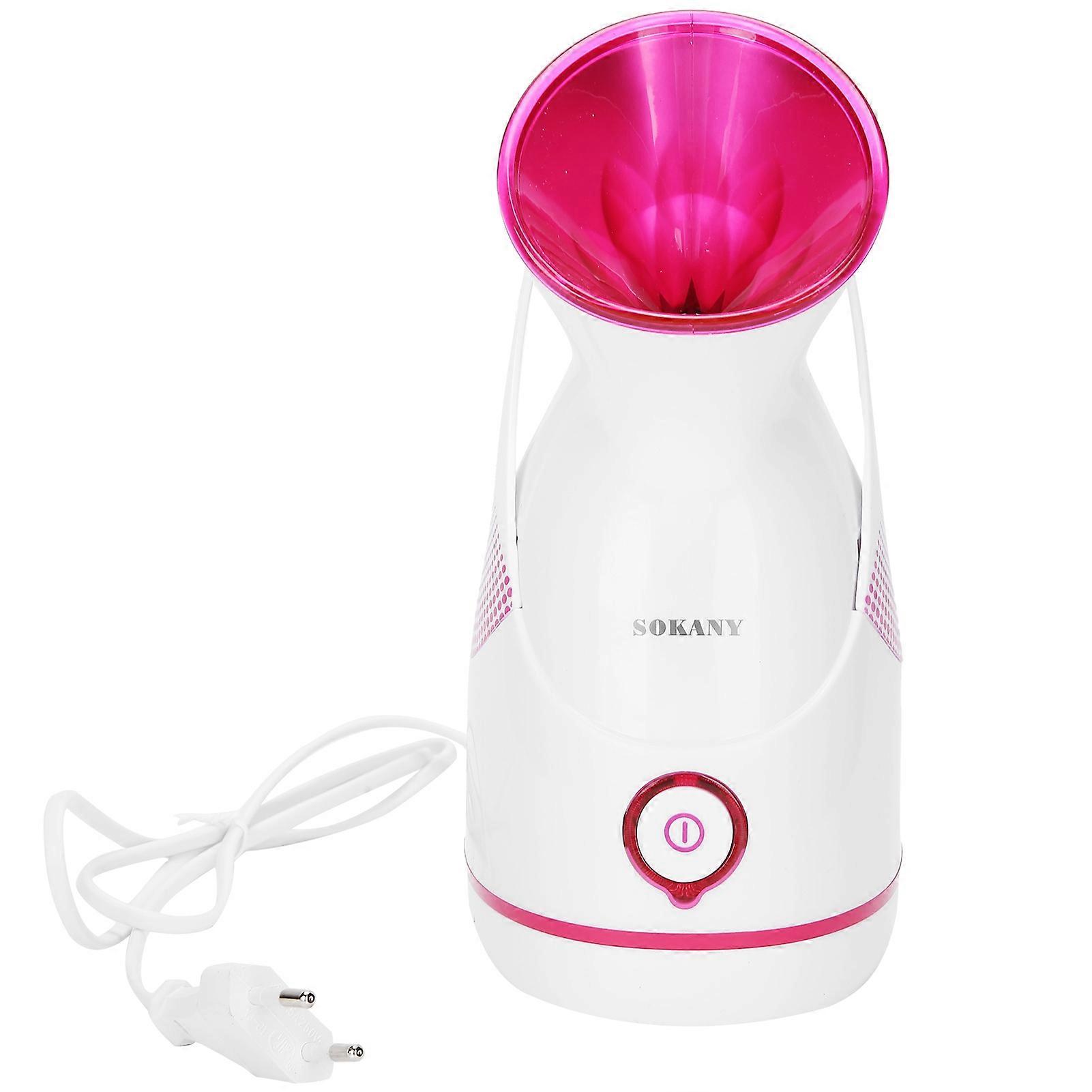 Vaporisateur facial chauffant nano 100 ml, humidificateur à brume chaude hydratante