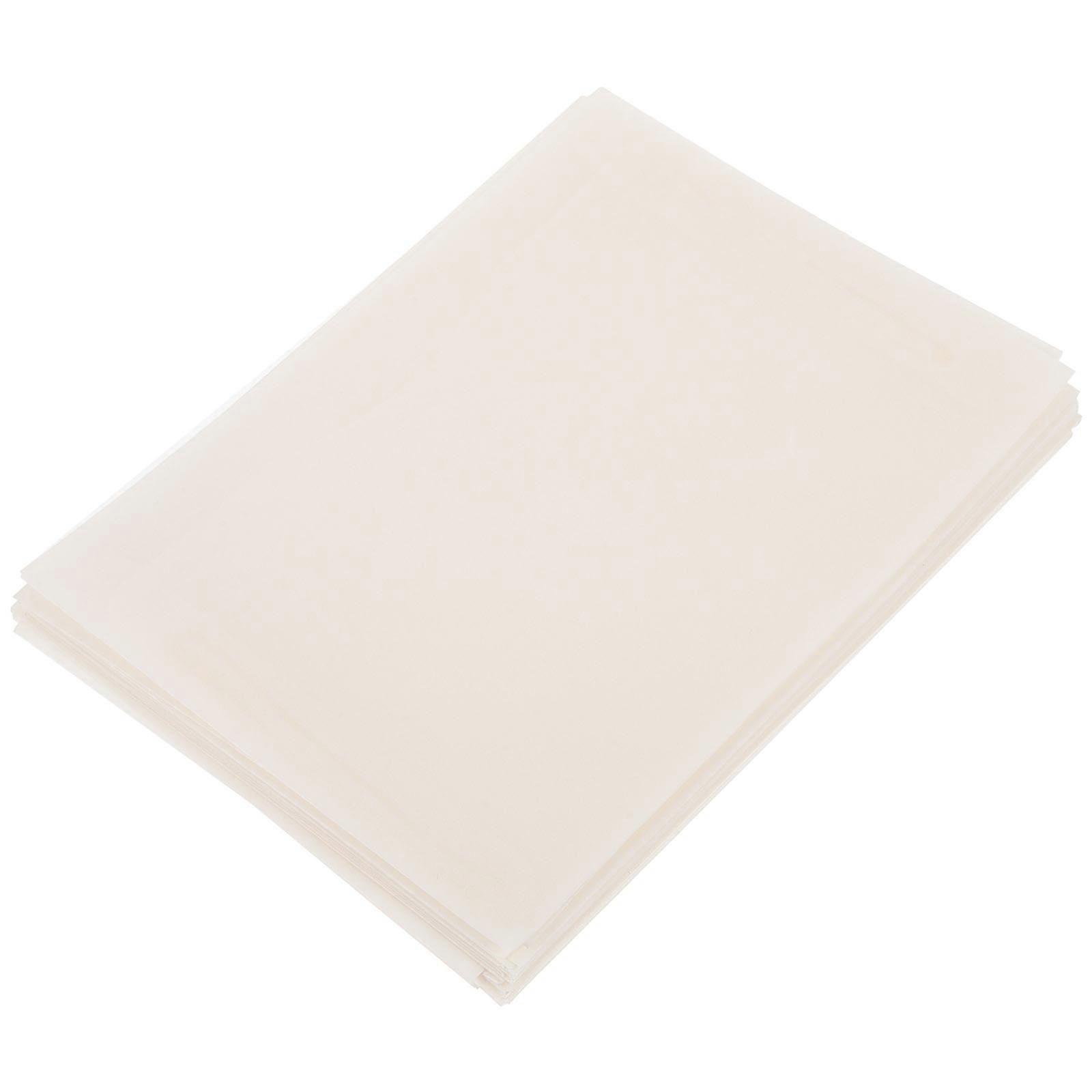 20pcs Paper Envelopes for Insect Storage, Multipurpose Flap Sealed Packets for Item Classification and Long Term Use